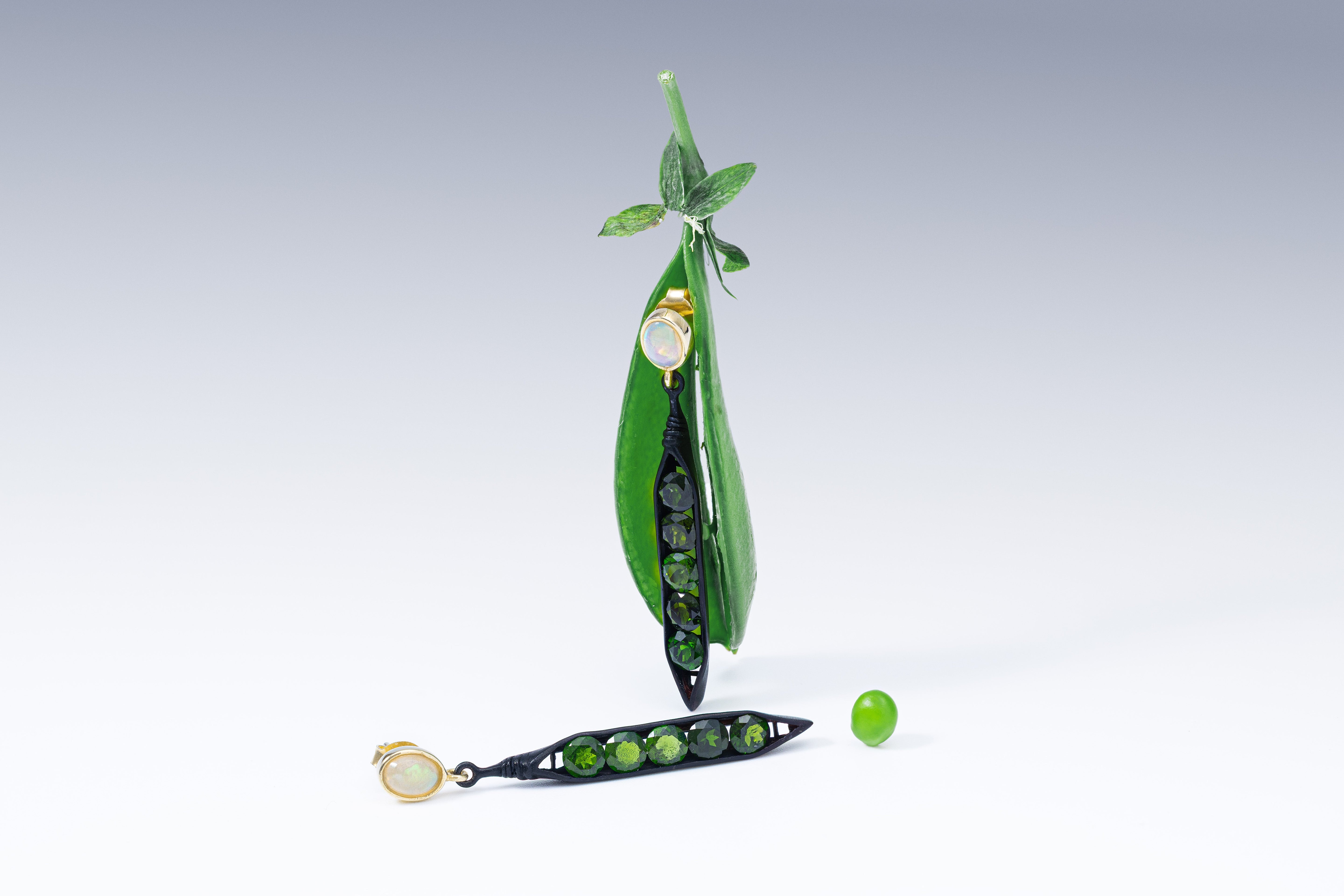 Seeds and Pods