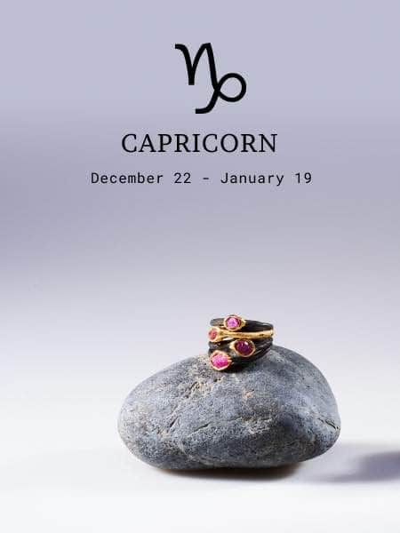 capricorn