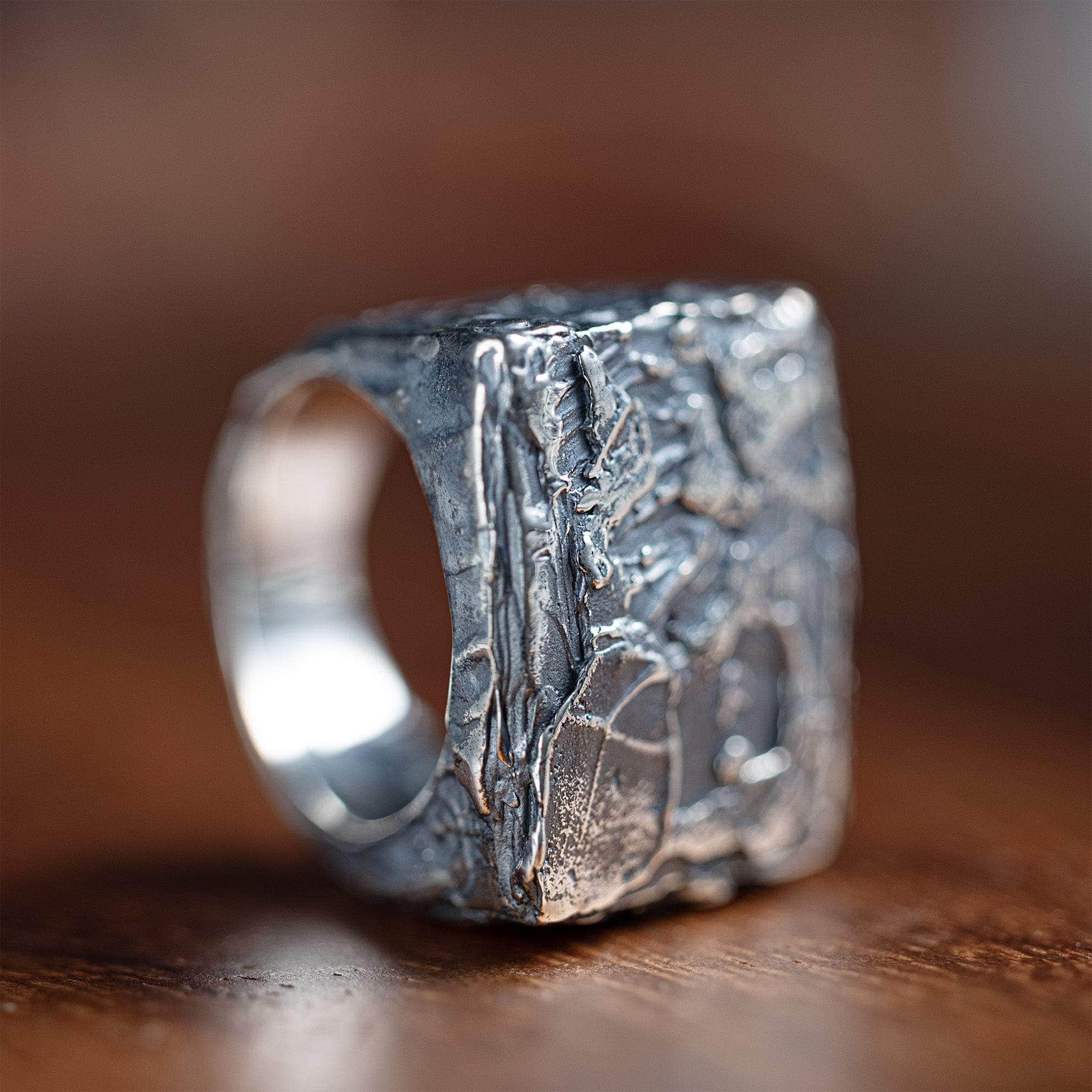Petrichor Oxidized Silver Ring with Raw, Earthy Texture