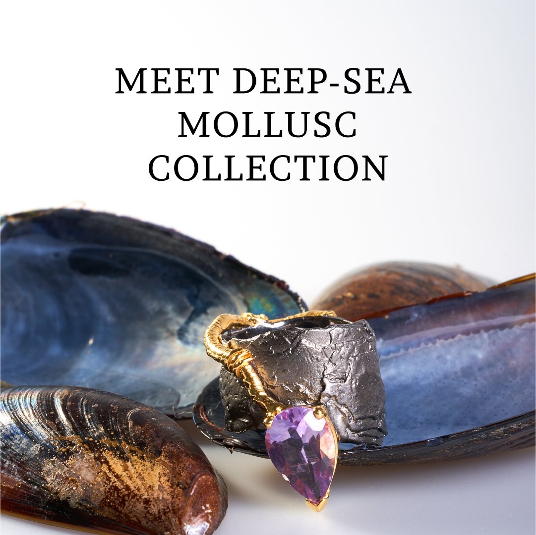 deep sea mollusc collection