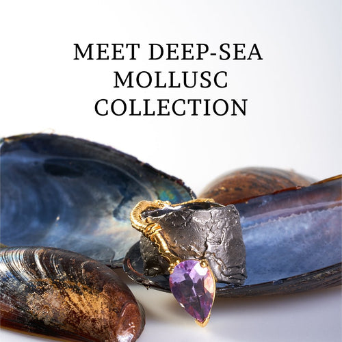 deep sea mollusc collection