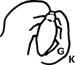 logo of German Kabirski | Art Jewelry with Natural Gemstones